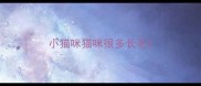 小猫咪猫咪很多长毛