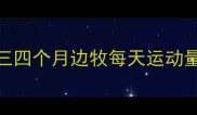 三四个月边牧每天运动量