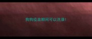 狗狗疫苗期间可以洗澡