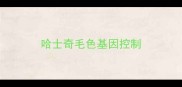 哈士奇毛色基因控制