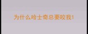 为什么哈士奇总要咬我