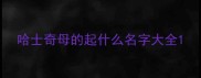 哈士奇母的起什么名字大全