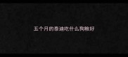 五个月的泰迪吃什么狗粮好