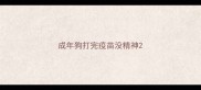 成年狗打完疫苗没精神