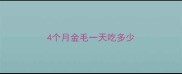 4个月金毛一天吃多少