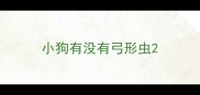 小狗有没有弓形虫