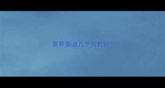 茶杯泰迪几个月打针