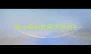 哈士奇和昆明犬杂交