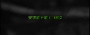 宠物能不能上飞机