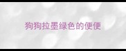 狗狗拉墨绿色的便便
