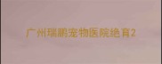 广州瑞鹏宠物医院绝育
