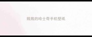 贱贱的哈士奇手机壁纸