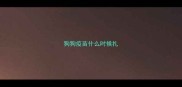 狗狗疫苗什么时候扎
