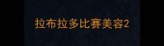拉布拉多比赛美容