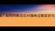 猫咪对玫瑰过敏如何判断及应对猫咪过敏症状与家居防护指南