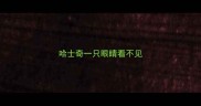 哈士奇一只眼睛看不见