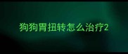 狗狗胃扭转怎么治疗