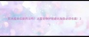 狂犬疫苗后能药浴吗这篇宠物护理避坑指南必须收藏