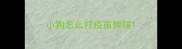 小狗怎么打疫苗辉瑞