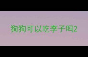 狗狗可以吃李子吗