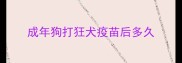 成年狗打狂犬疫苗后多久