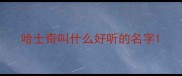 哈士奇叫什么好听的名字