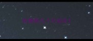 松狮狗几个月成年