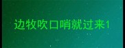 边牧吹口哨就过来