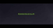 两岁的拉布拉多怎么养