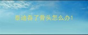 泰迪吞了骨头怎么办