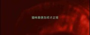 猫咪粪便怎样才正常