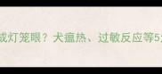 狗狗接种疫苗后眼睛肿成灯笼眼犬瘟热过敏反应等5大诱因及科学护理指南
