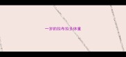 一岁的拉布拉多体重