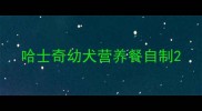 哈士奇幼犬营养餐自制