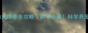 哈士奇幼犬喂养全攻略新手必看科学养宠避免踩坑