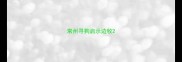 常州寻狗启示边牧
