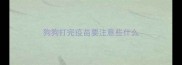 狗狗打完疫苗要注意些什么