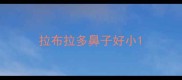 拉布拉多鼻子好小