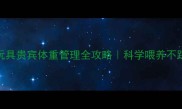 五个月玩具贵宾体重管理全攻略科学喂养不踩坑指南