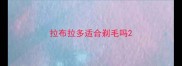 拉布拉多适合剃毛吗