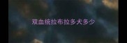 双血统拉布拉多犬多少