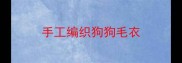 手工编织狗狗毛衣