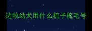 边牧幼犬用什么梳子梳毛号