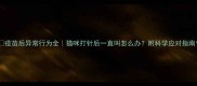 疫苗后异常行为全猫咪打针后一直叫怎么办附科学应对指南