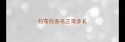 拉布拉多毛正常多长