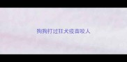 狗狗打过狂犬疫苗咬人