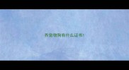 养宠物狗有什么证书