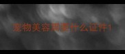 宠物美容需要什么证件