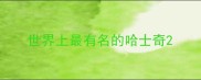 世界上最有名的哈士奇