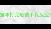 猫咪打完疫苗不良反应